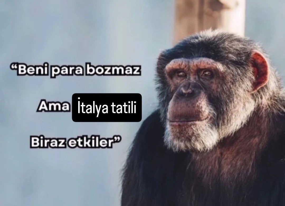 işte aradığım mizah (@mizahondaon) on Twitter photo 