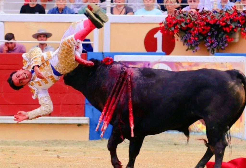 Informa Cosmos tweet media