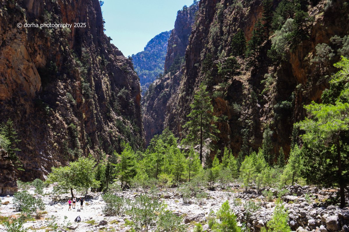 #Greece #crete #LandscapePhotography #Mountain #GORGE #Rocks #canonphoto
🇬🇷🏞️🌲🥾🎒🥰
U walk through the valley, the heat is unbearable in the full sun, between the rocks, passing mountain after mountain.
At one point, u feel like u're in the Ice Age 🤪🧐
heading 4 a single pass