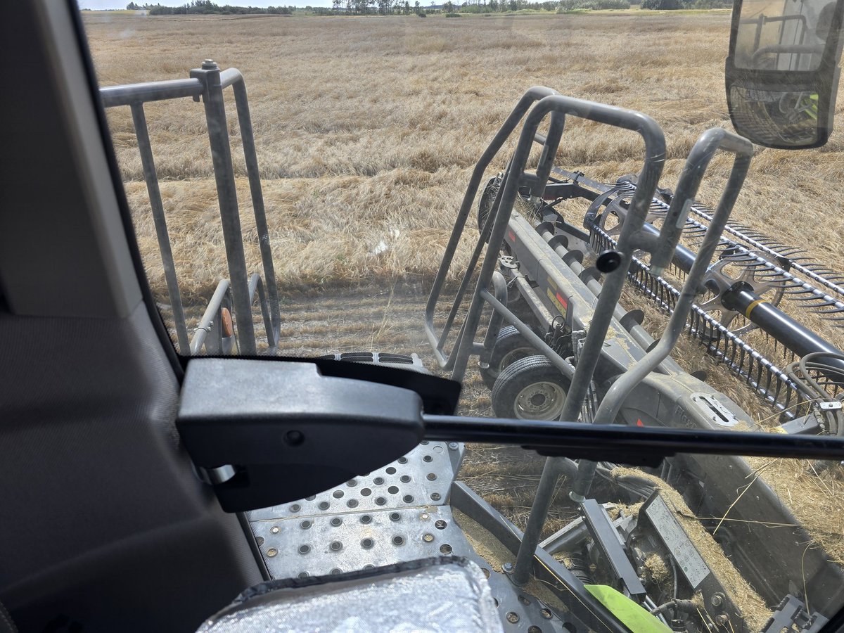 Lifters on this 245 are picking up this lodged crop!!! Working 👌