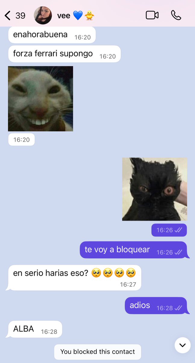badlandsalby's tweet photo. como dijo mi mejor amiga taylor swift, el karma es un gato ronroneando en mi regazo porque me ama https://t.co/eF9wNlT5EM