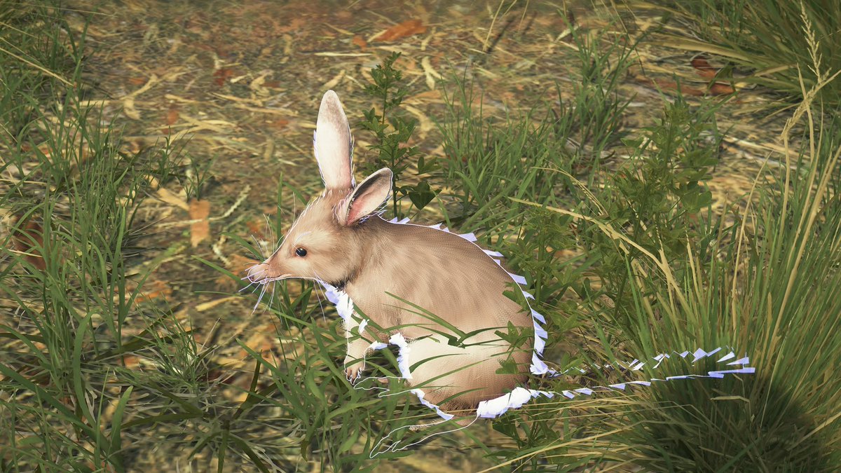 Leon_REBHFun's tweet photo. アルビノのビルビー‼️👍🫶
#DSPhotomodeCP_Aug
#DeathStranding2 https://t.co/wPlWMOcBux