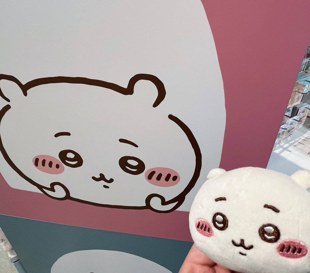 体調崩すことが多く浮上出来ていませんでした🙇‍♂️

いつの間にか海外にもたくさんのちいかわが広がってすごい😳(街の中にもキャラクターとは...!)

落ちついてきてBaby応募したので当選してたらいいな👶🏻🍼