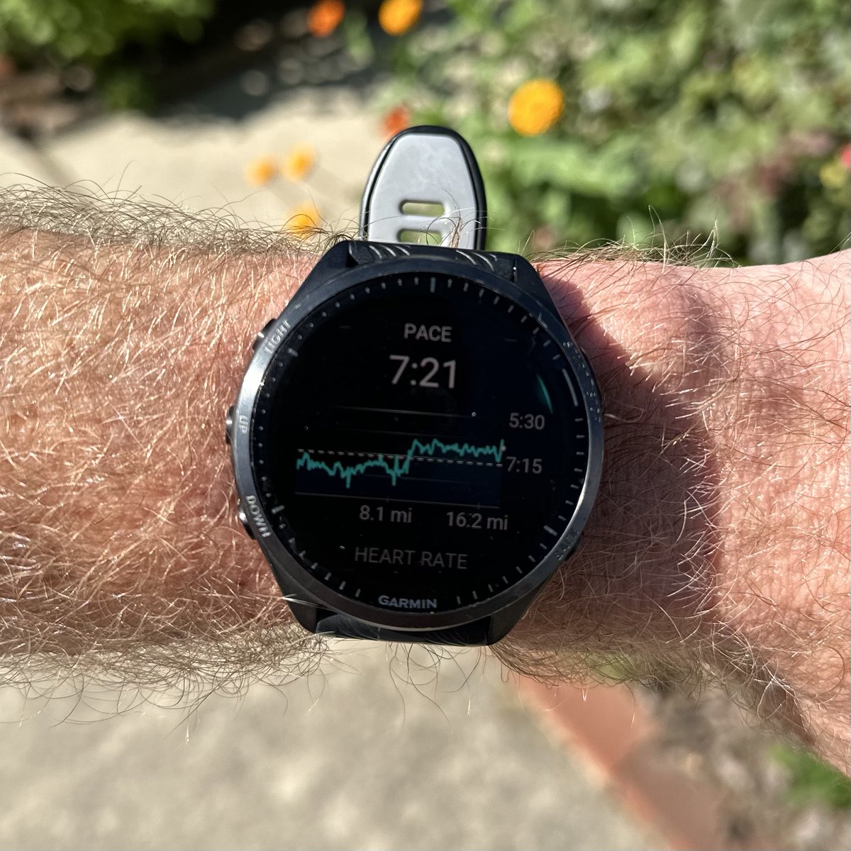 10mi warm up, 8mi burn down ❤️‍🔥 Movement is a privilege. All I feel is gratitude.