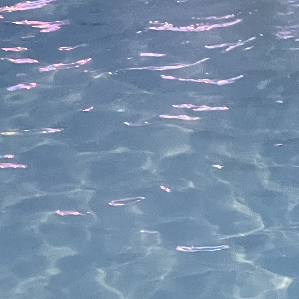 プールにいきました