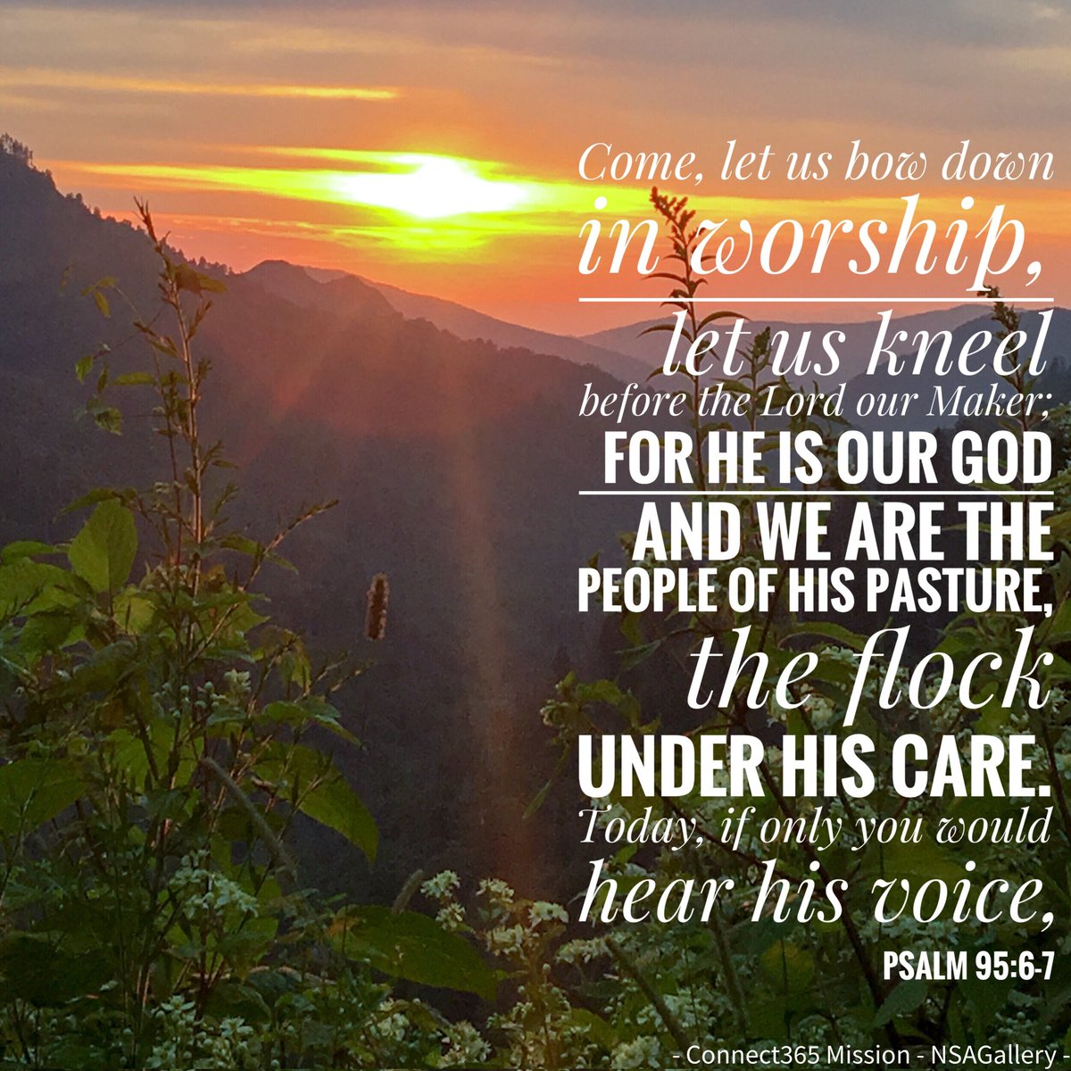 Michael P Ascani (@savlifeonline) on Twitter photo 