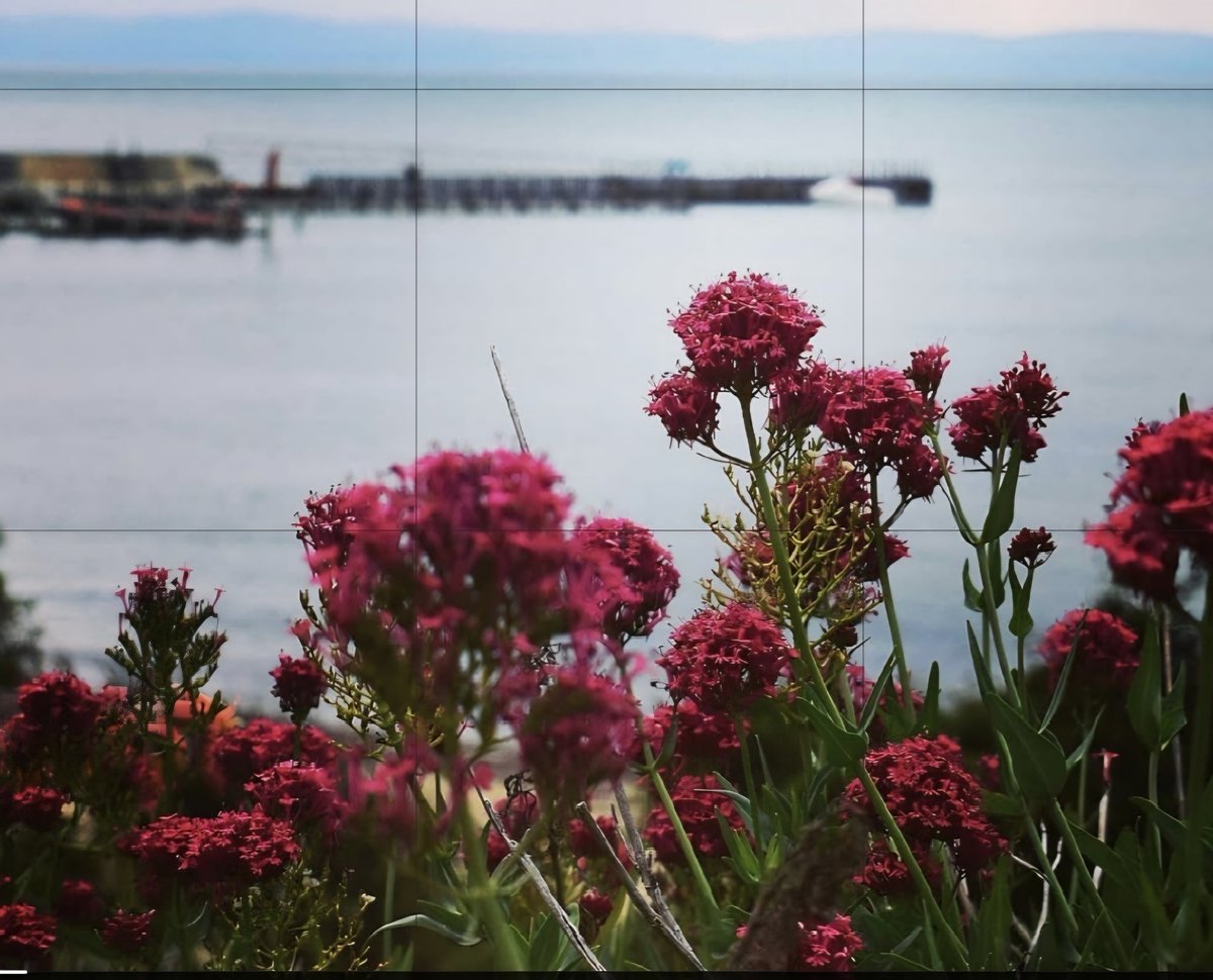 <a href="/indian_pitta/">Mohit Mehta</a> #photo and #flip