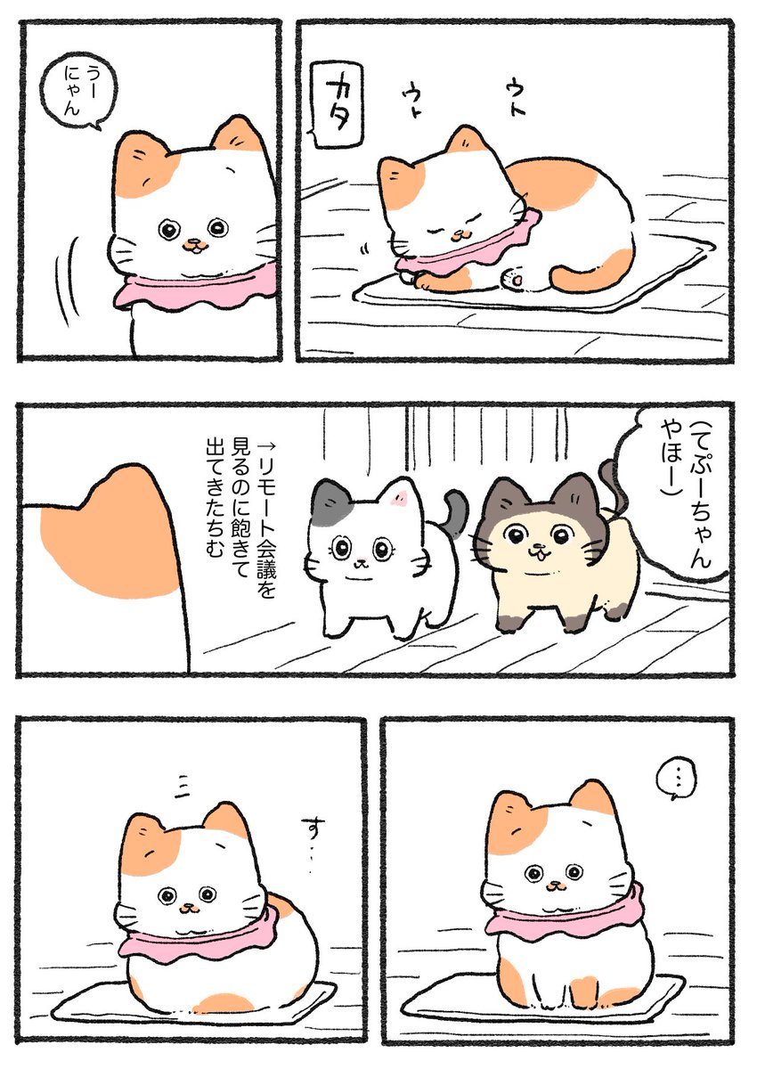 ねこに転生したおじさん。その778