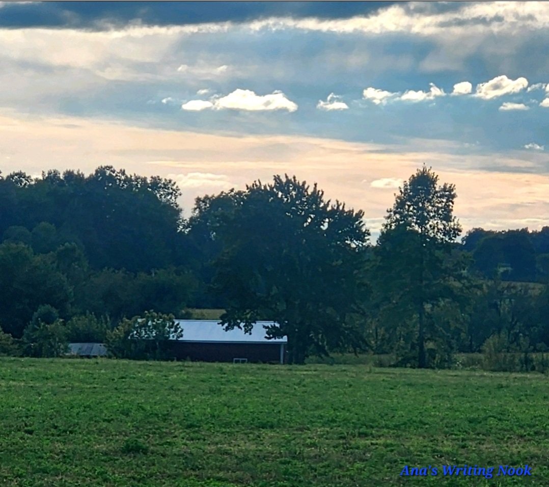 I enjoy taking photos of my adventures when biking.  Today, I'll capture more when my renters and I go out again today. 

Open fields with barns tucked away in wood lines. The simplistic life with hard work.  Although, this farmer doesn't really work that hard.  He has beef