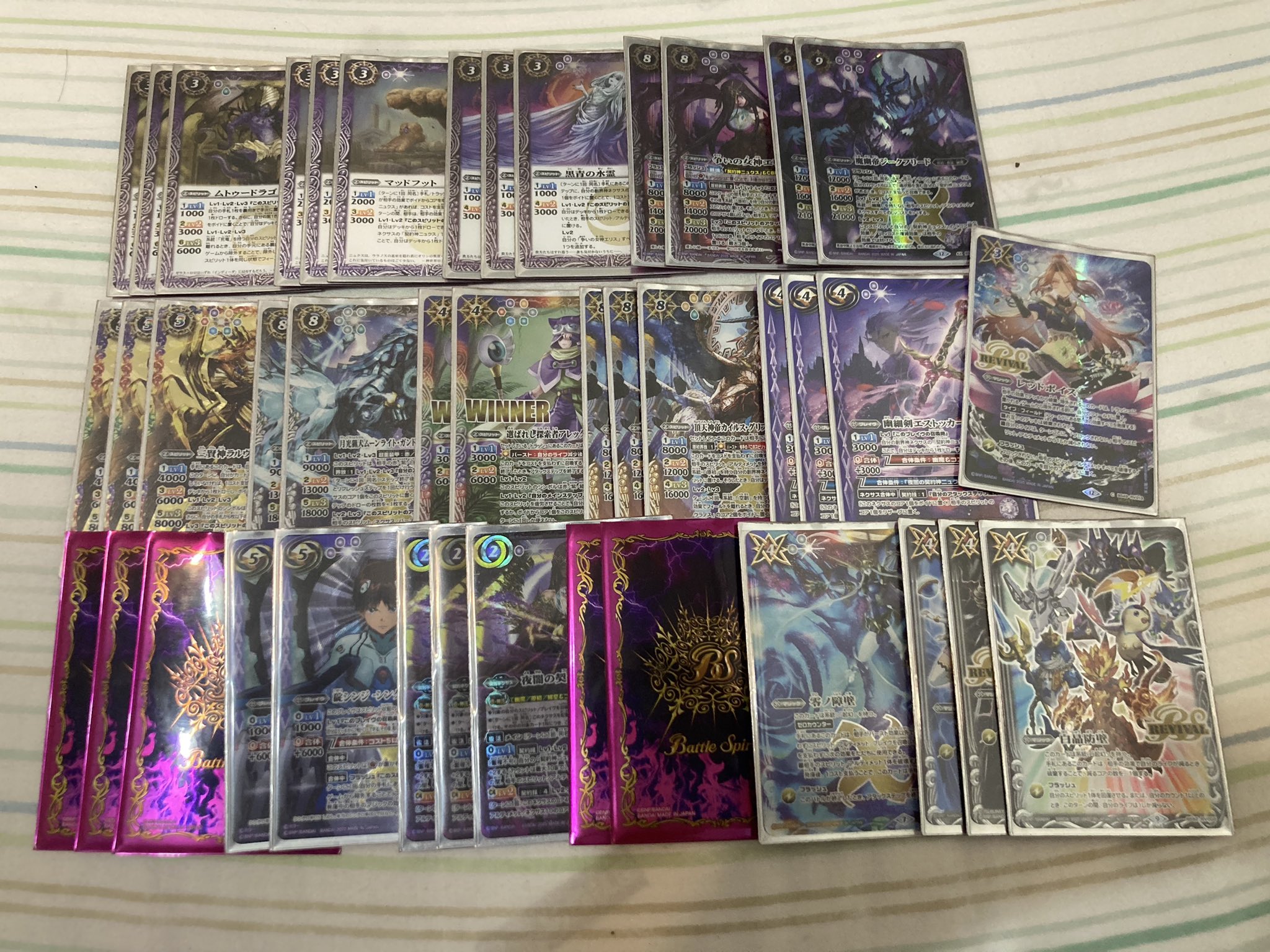 KPT サフォマロワイド on X: 