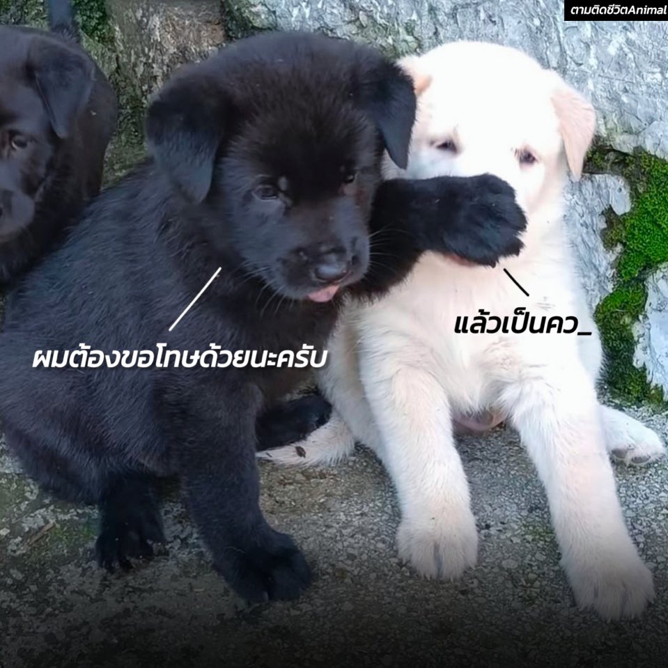 คือนึกถึงแต่อันนี้ 😂
#จินม่า #Jinma