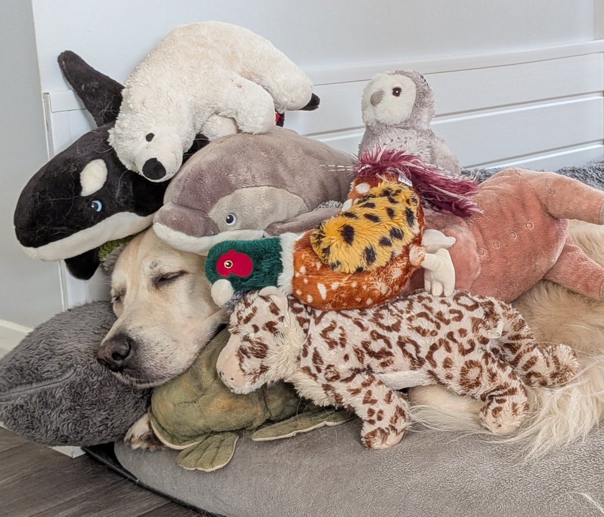 Zzzz.....