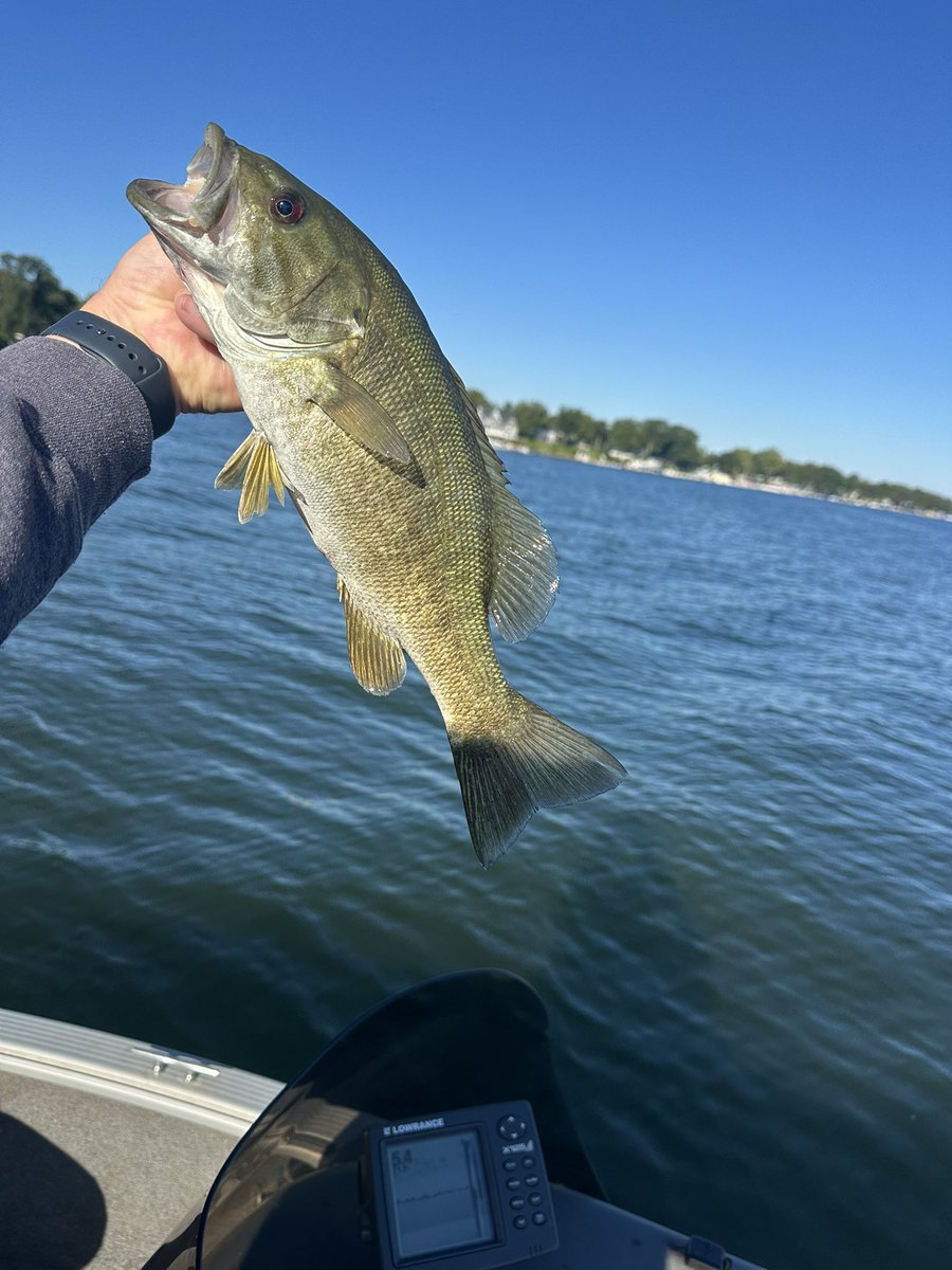 A few of the weekends best! #lakewawasee