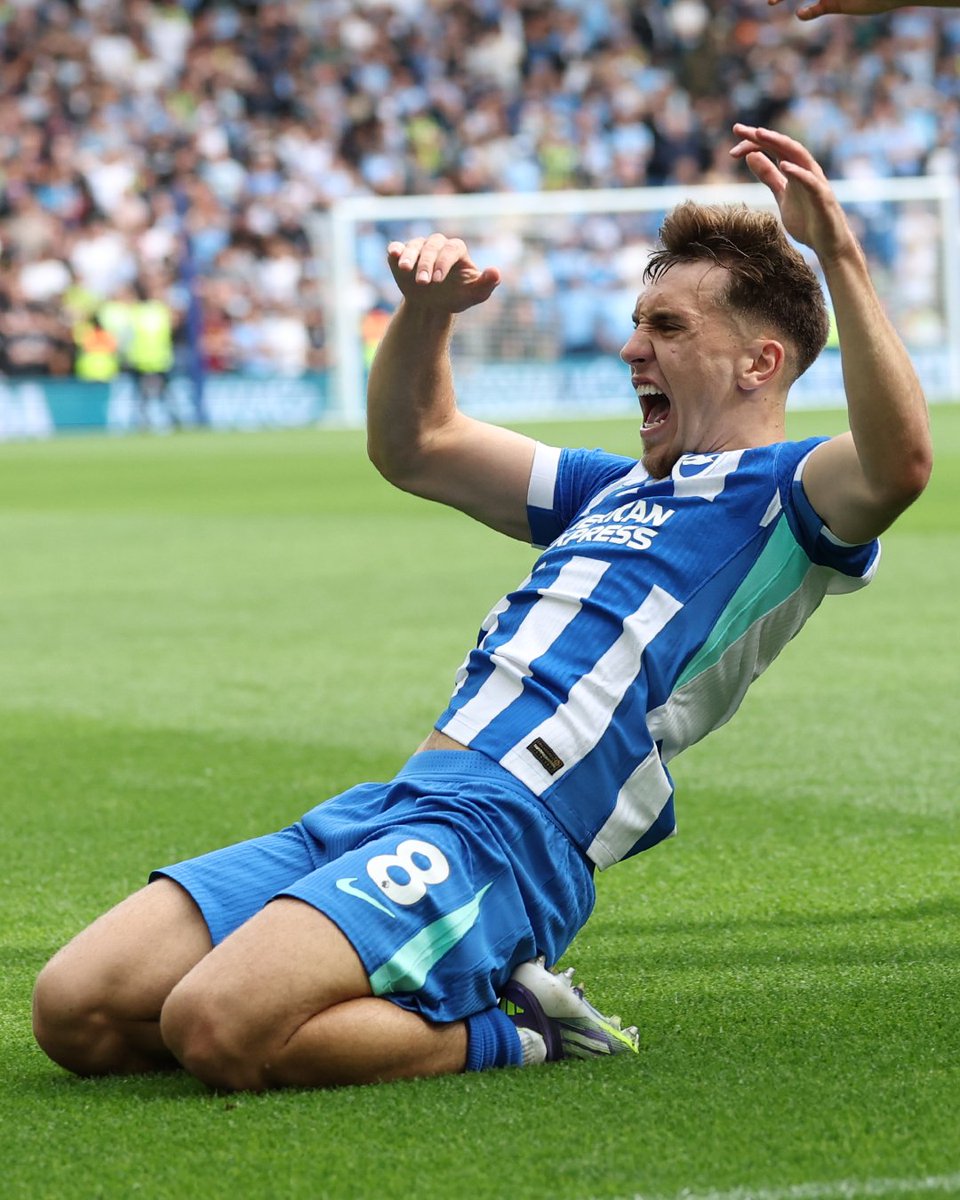 Brajan &amp; Hove Albion. 🤩💫