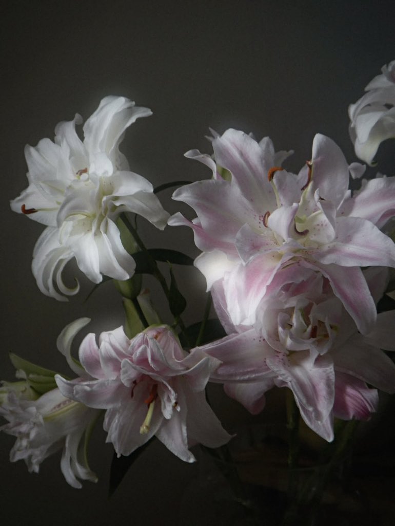 ✮⋆˙ (@dmugg7) on Twitter photo 