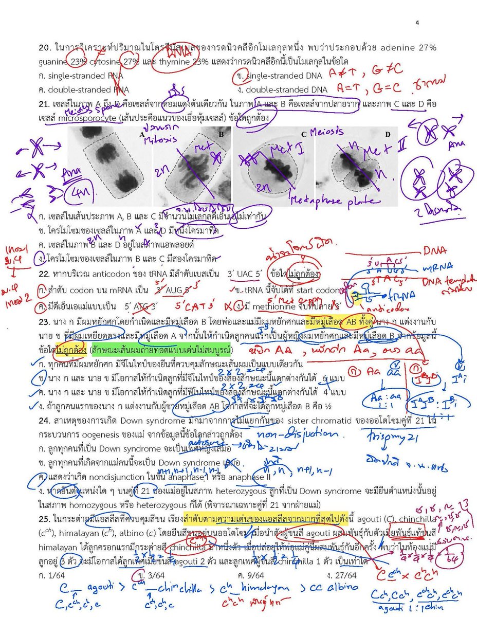 BioEntrance ติวชีวะเข้าเส้น tweet media