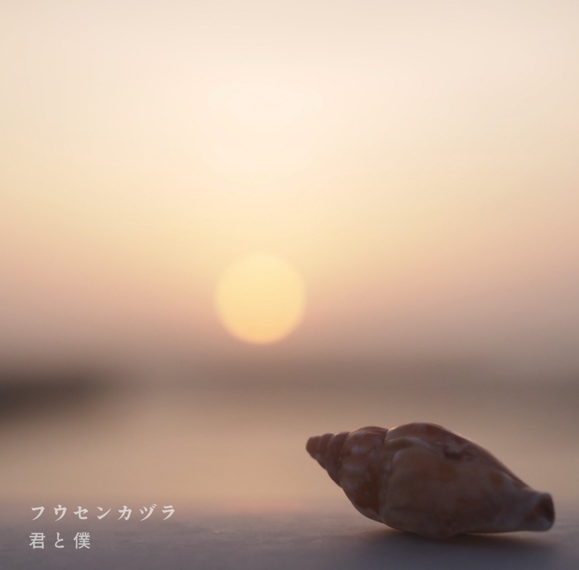 「Love Sea 〜愛の居場所〜」ED主題歌「君と僕」リリースしました🎈

フウセンカヅラ「君と僕」
linkcloud.mu/a09cf79c

誰もが共感できる恋愛の切なさを歌った曲です。