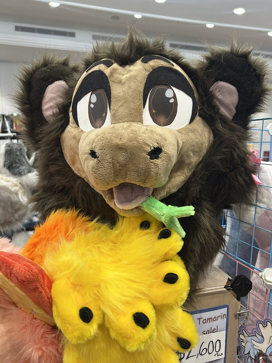 Dawn of the final day! 

We are down to 2 pairs of feetpaws and only 3 nubs tails left!

#fursonacon2025