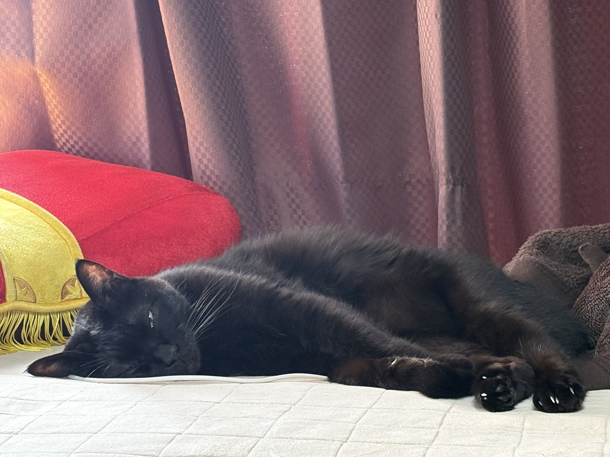 かおりん◡̈⃝︎です どっちが好きなの？