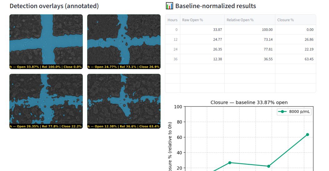 LauraBukavinaMD's tweet image. Migration analysis made easy by our lab genius @MSindhani  #sciencecomm #cancerresearch Check it out here &amp;gt;&amp;gt;&amp;gt;&amp;gt; …-rjju74g2v6h6u5tsdk2swm.streamlit.app