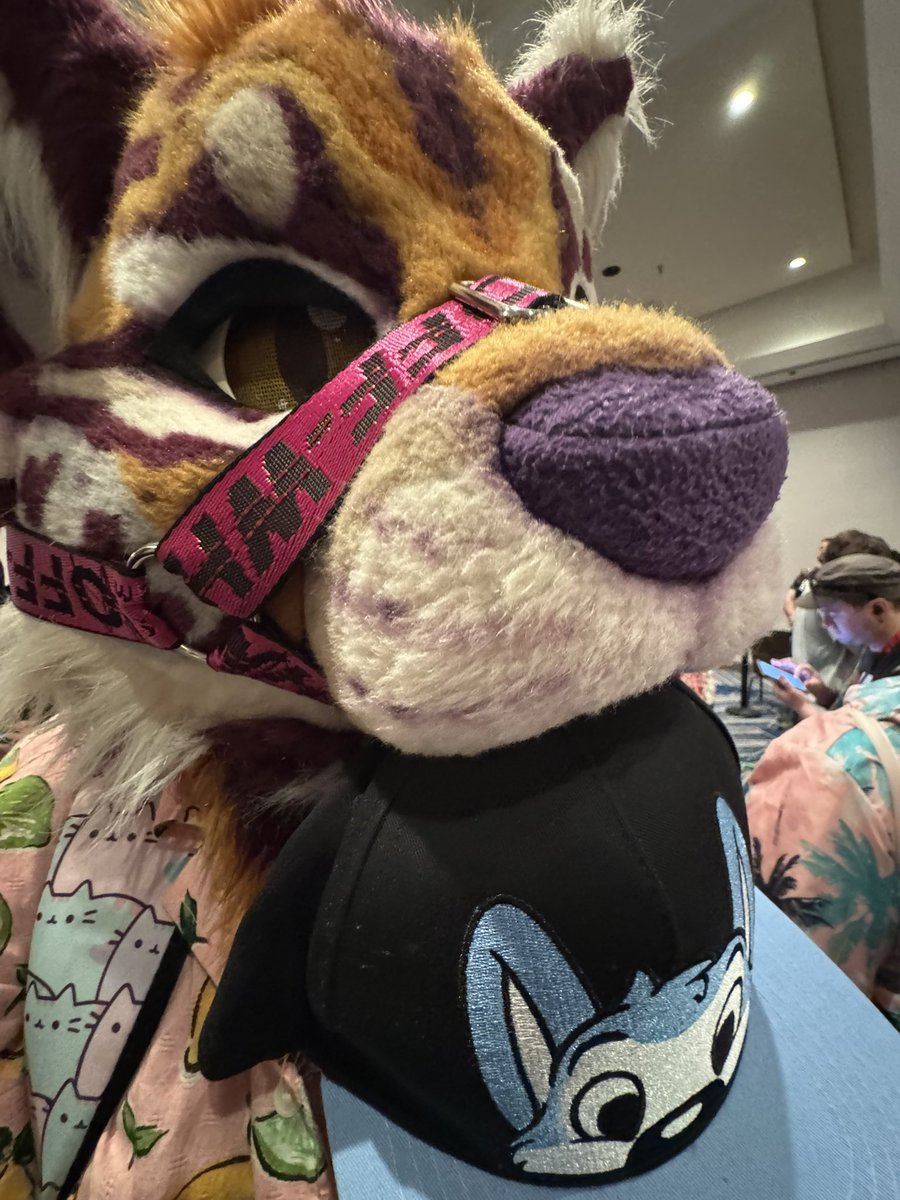 He stole my HAT!!!  STOP EATING IT!