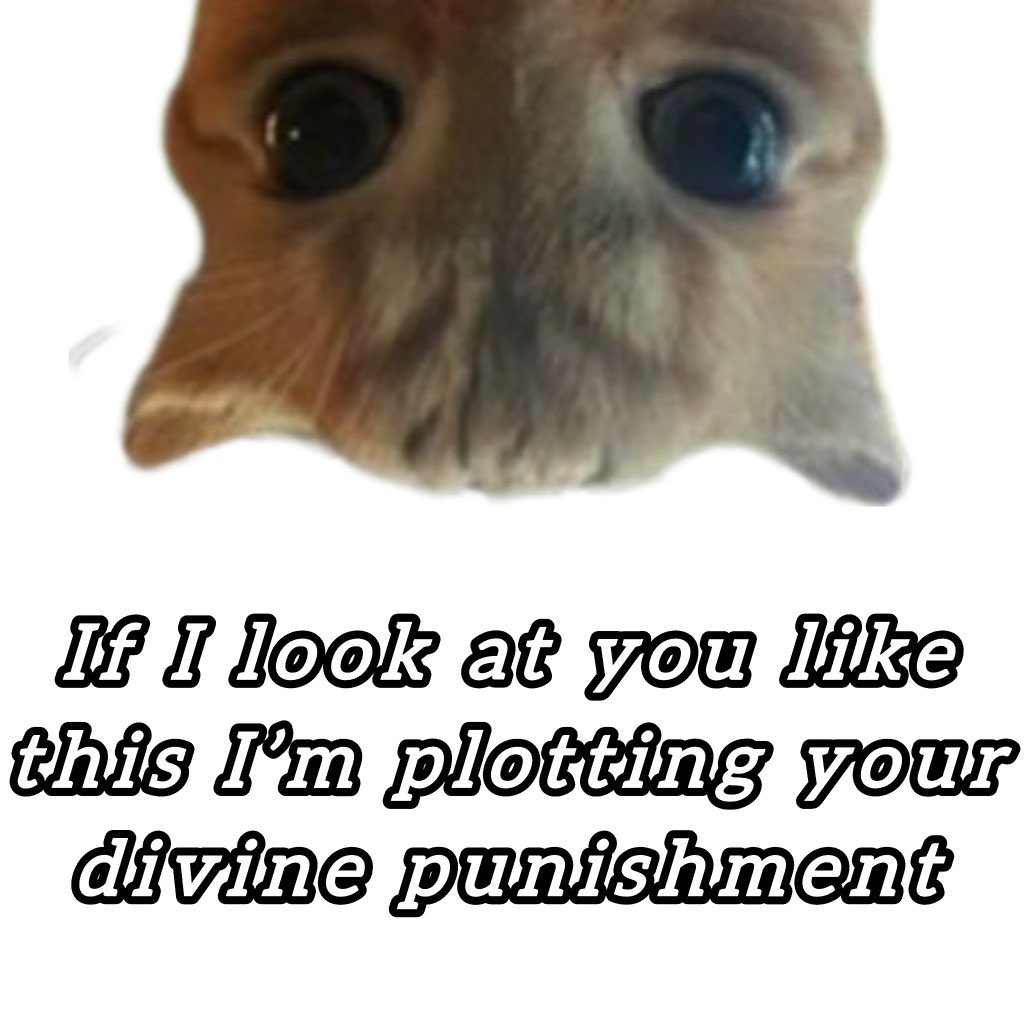 GaK (@gakstercat) on Twitter photo 