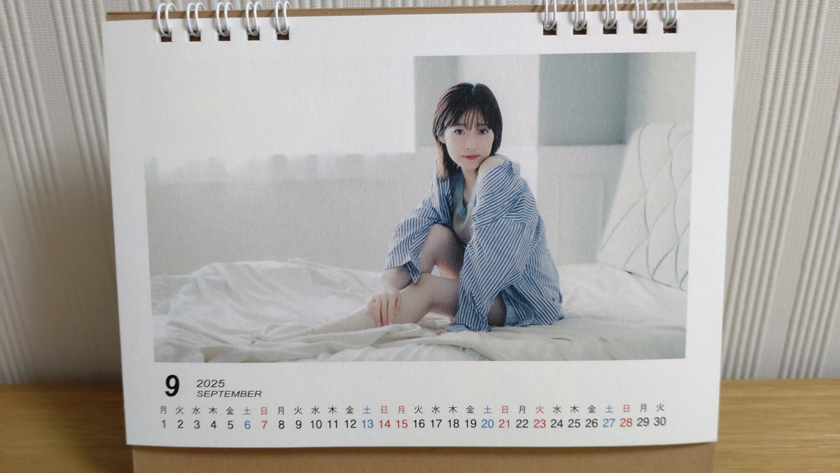 チャッキー愛好家様 Travel Bear Collared JSK by Angelic Pretty