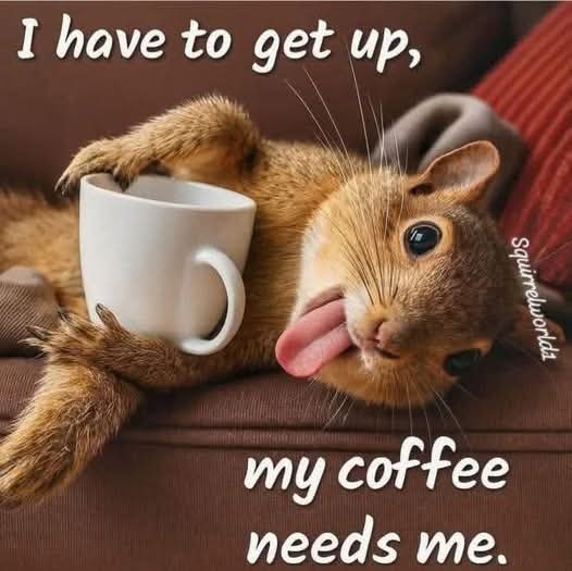 Mouthy Llama (@pocketfullofsin) on Twitter photo 