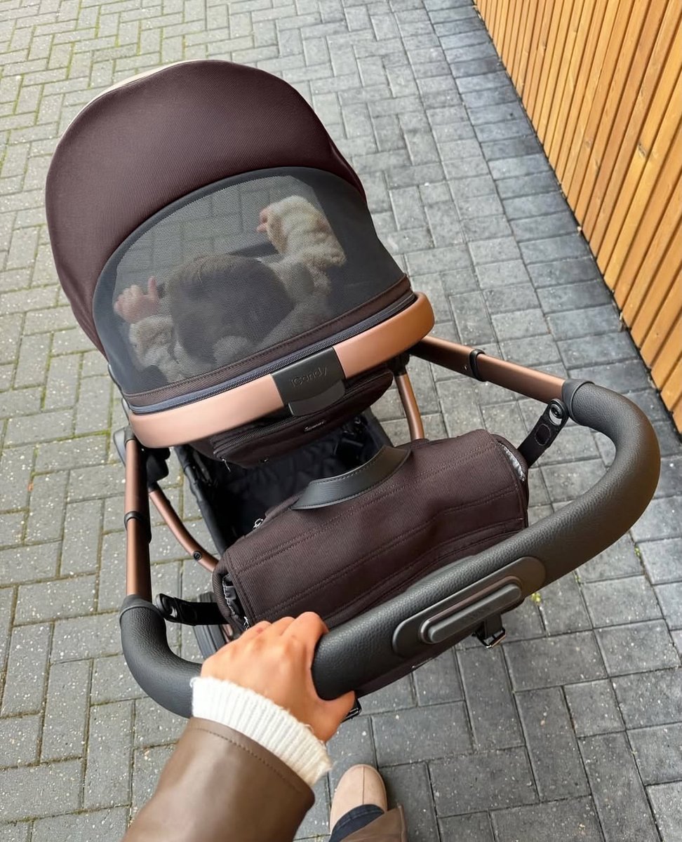 iCandy World tweet media