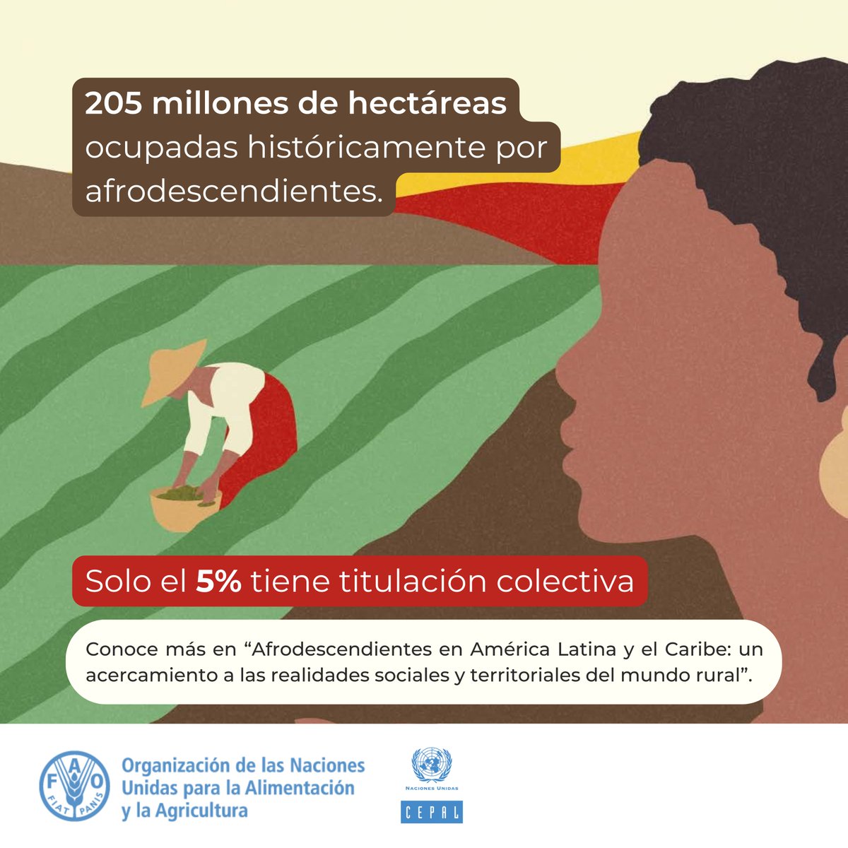 FAOAmericas's tweet image. La falta de titulación colectiva de los territorios ancestrales #afrodescendientes, profundizan las desigualdades históricas que enfrentan estos pueblos.

📗Nueva publicación de @FAOAmericas y @cepal_onu: evidencia necesaria para la acción política.

🔗 doi.org/10.4060/cd4853…