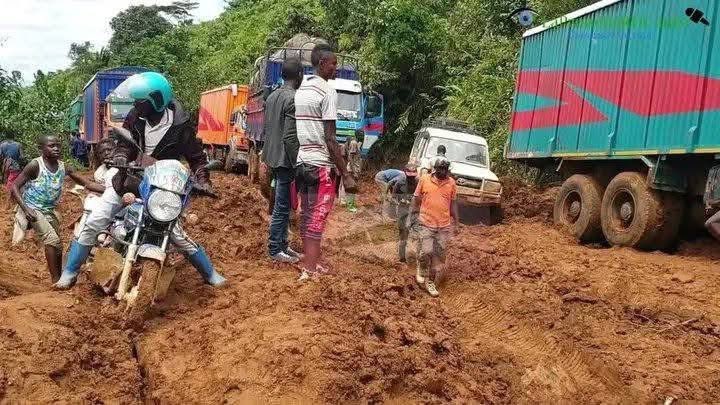🔴🇨🇩#RDC | Exclusif : Voici la route reliant #Kamituga, ville minière du Sud-Kivu réputée pour sa importante production d’or, à #Bukavu.

Actuellement, selon des habitants et voyageurs, un camion de marchandises fait entre 60 et 90 jours pour parcourir ce trajet, en raison du