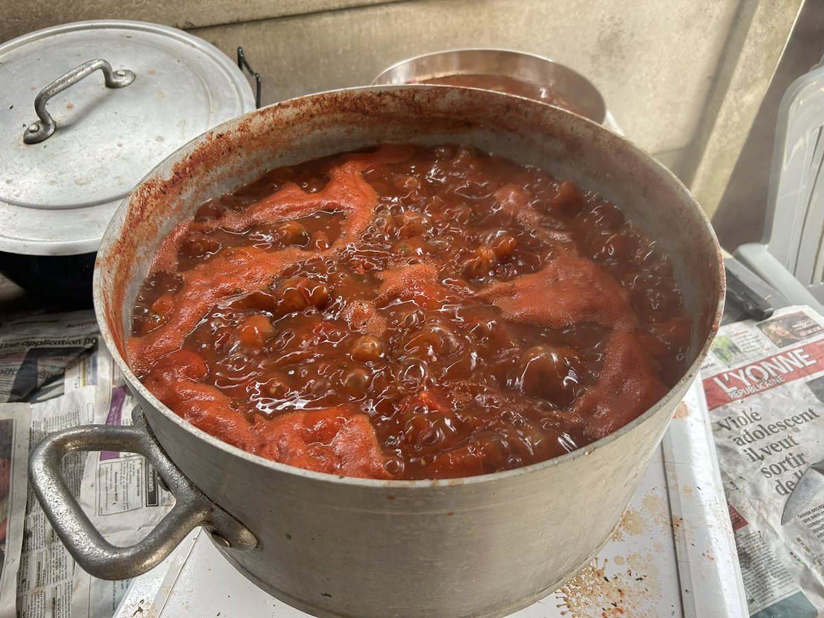 Sauce tomate en ce dimanche pluvieux 🌧️ avec le persil, les oignons, le thym et les 40 kg de tomates du jardin 🥫
