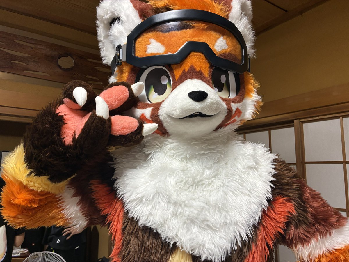 ご報告

クマの子 星砳(せいらく)お迎えしました🌟！ 界隈の方々何卒よろしくお願いします🙏