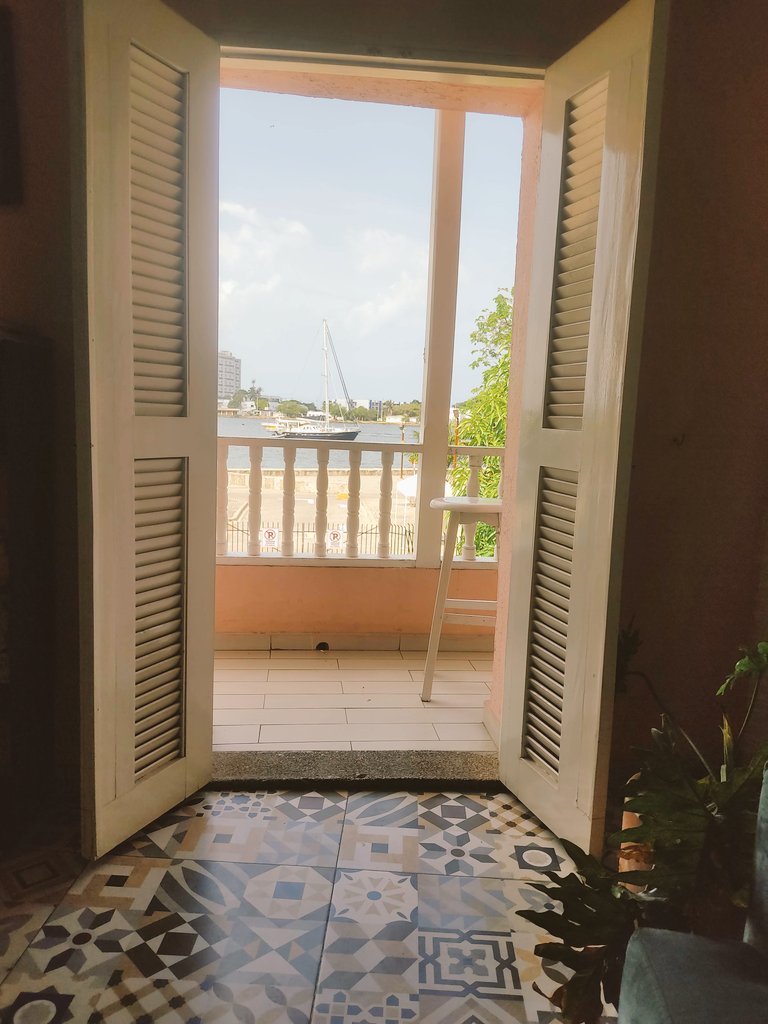 Mi vista de hoy 😍