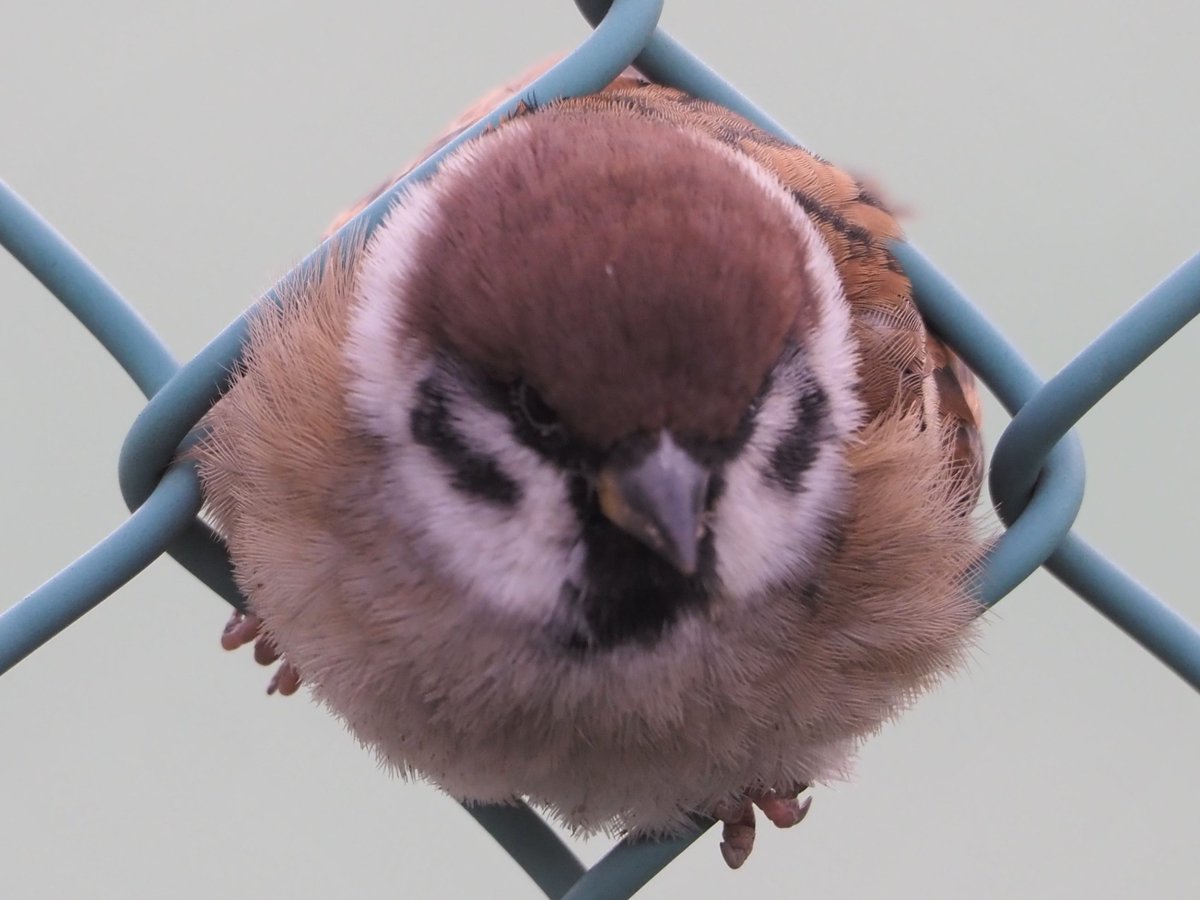 ヤマ▽ (@yamatyan0212) / Posts / X