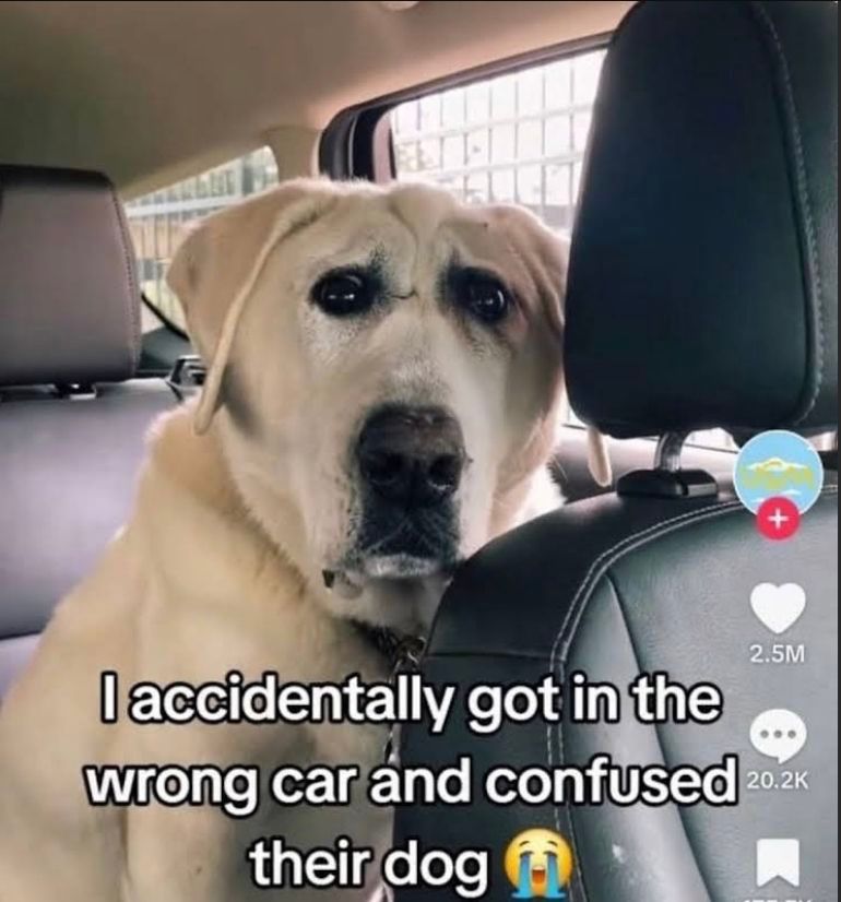 🕐HOURLY🕑 shitpost (@hourly_shitpost) on Twitter photo 