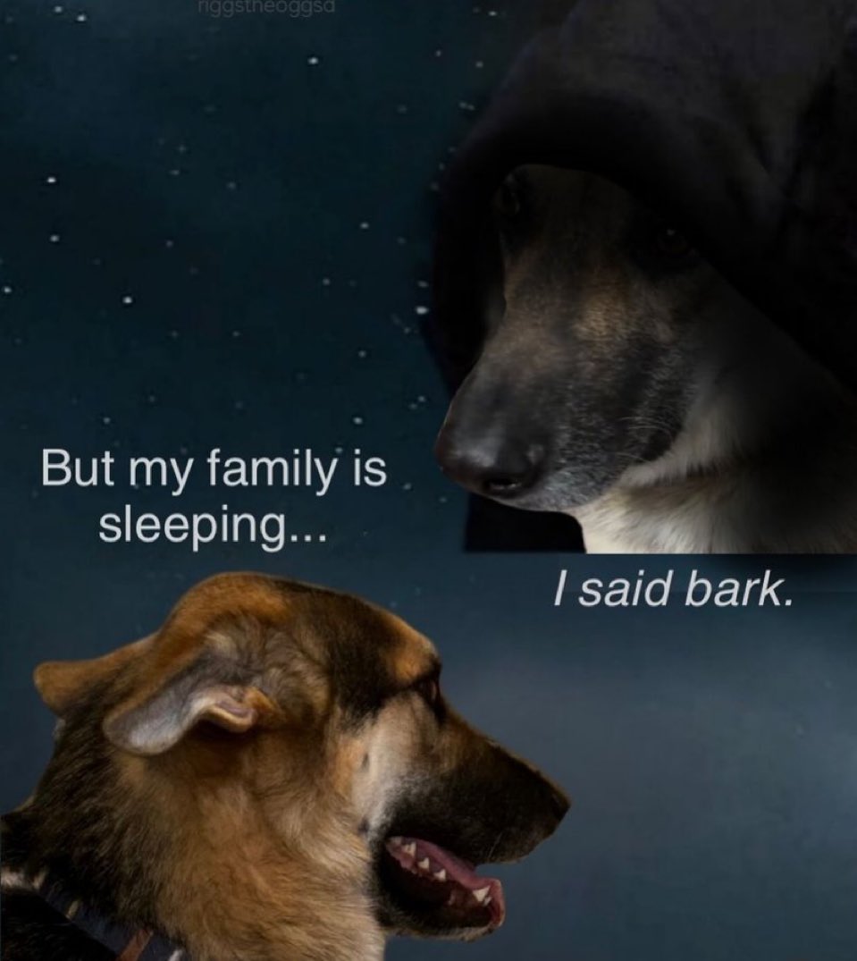 memechaotic's tweet image. 