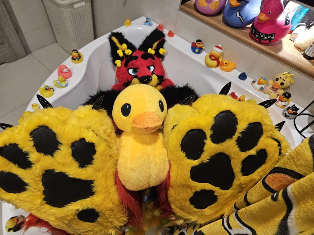 Look what I have cought in beetwen my paws during my bath time 🐤🐤🐤
📸 <a href="/K4AK3N_/">Kraken</a> 
#furry #fursuit #duck #paws #furrycommunity #fursuiter