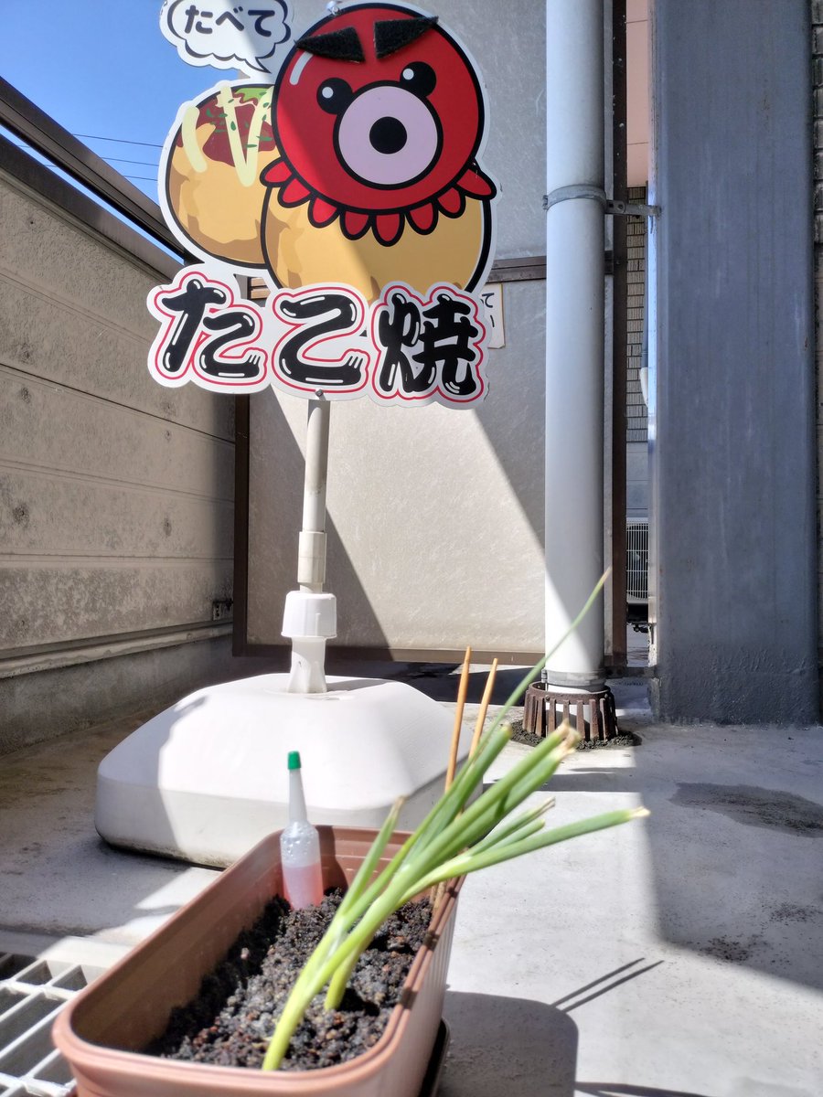 ８月も終わりやっちゅ〜のに、どないやねん〜！って暑さの富山🥵　北陸の涼しそうなイメージは最早幻想ぢゃ😓まぁ東北の福島もその日の国内最高気温あったし、致し方なしやね😅
現在は夜勤最終日の休憩中、殆ど寝れんかったから、９時まで何とか耐えねばならねばぢゃ〜✊😁
ごタコ〜🐙あれ〜＼(^o^