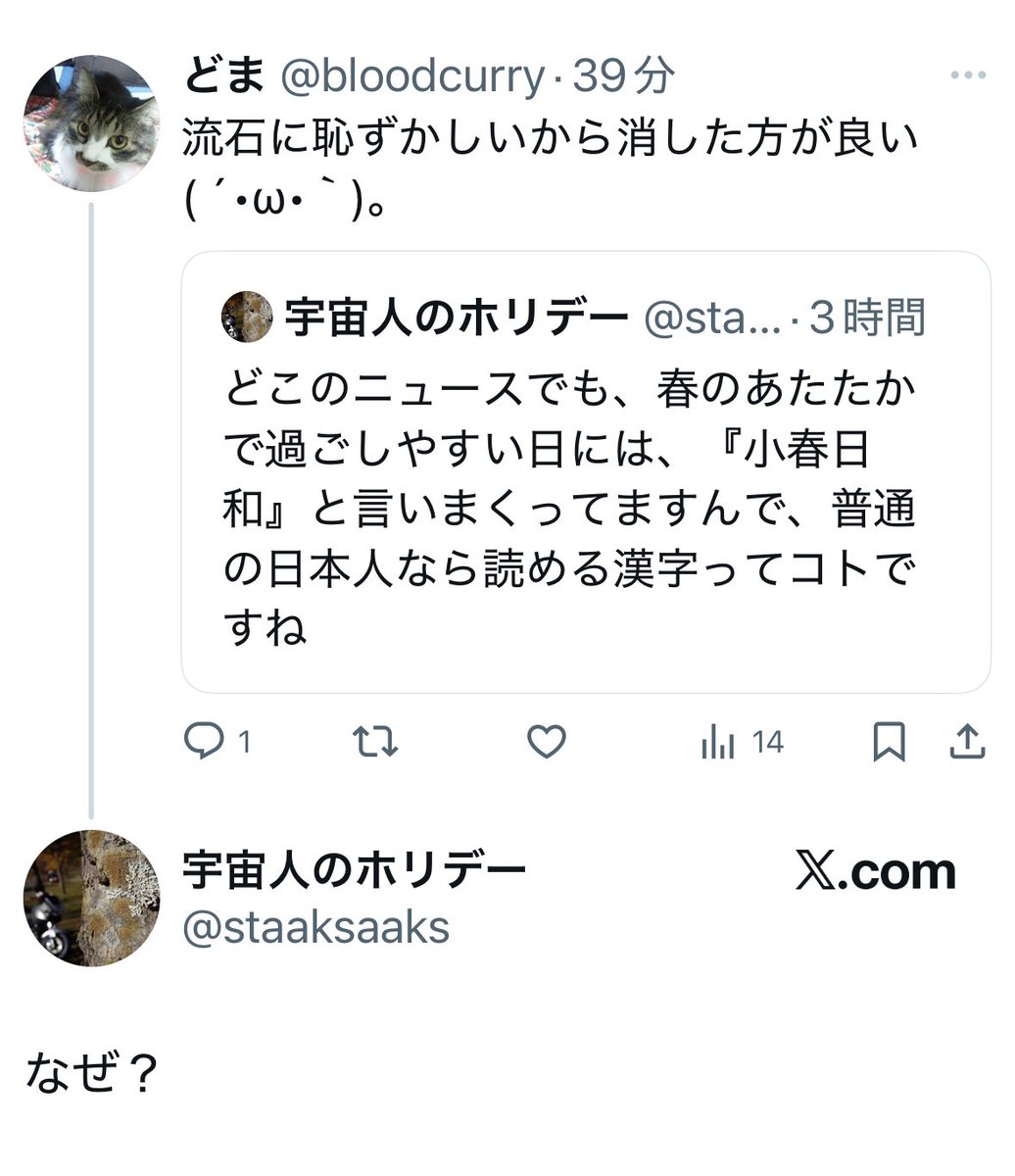 小春（小春♡プロフ読んで下さいね様）他の方は購入不可 桜野小春 - zeta