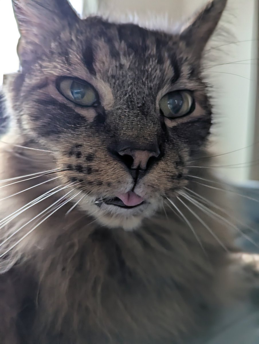 Goob morning 👁️ 👅 👁️