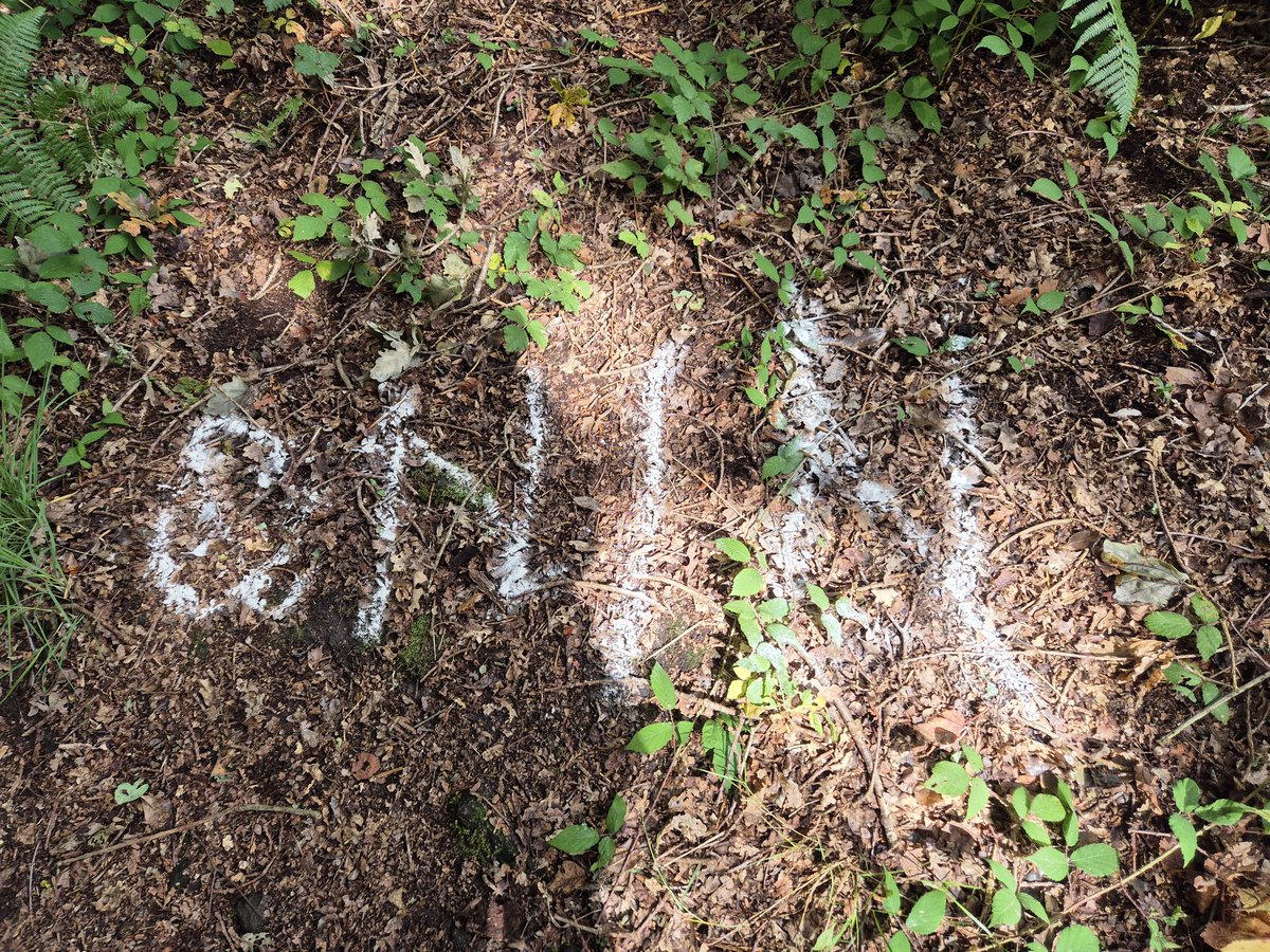 Great run with #Chichester #HashHouseHarriers ❤️