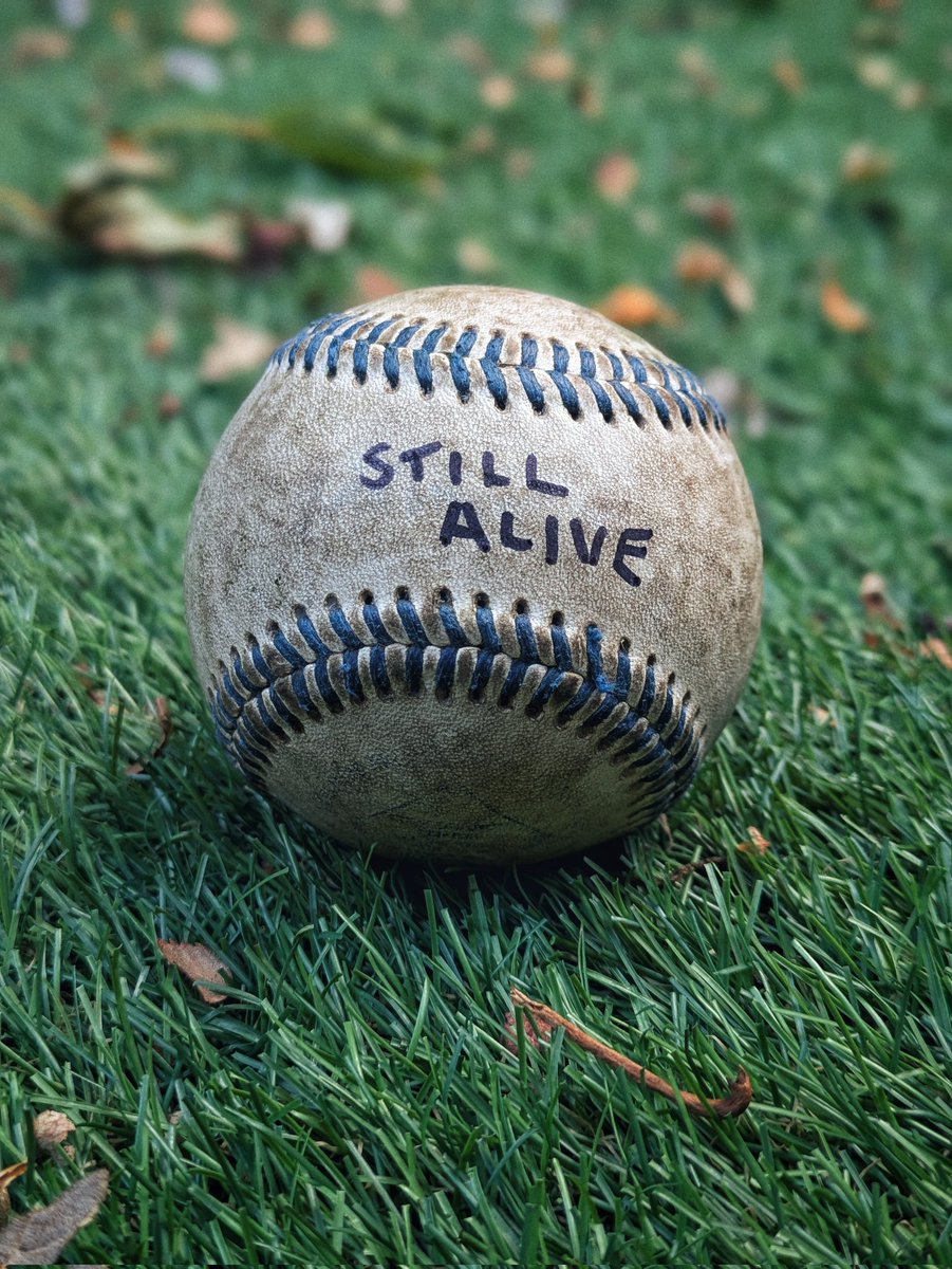 Aaron Rook tweet media