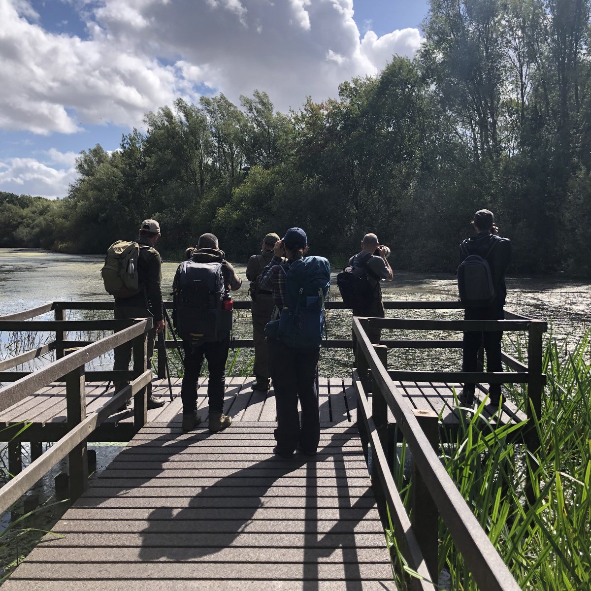 It was my first visit to Skylarks Nature Reserve with <a href="/DerbyshireBT/">Derbyshire Bird Tours</a> today. The area used to be a gravel pit, now it’s designated for wildlife 🫶. We saw adult and juvenile green woodpeckers, cattle egret, kingfisher plus lots more #derbyshirebirdtours