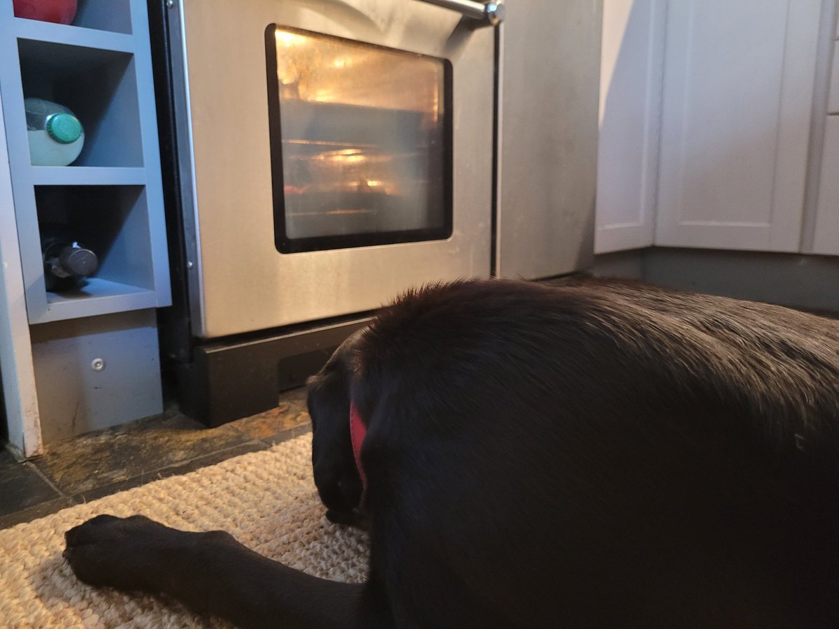 MainAM04167301's tweet image. Not sure if it is the heat from the oven or the meat in it 🤔🇬🇧
