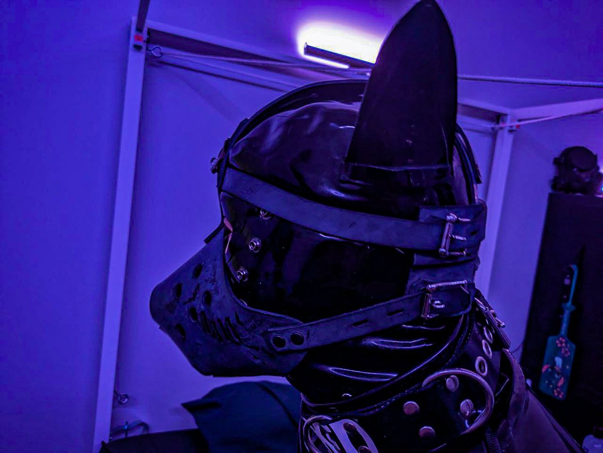 Silenced with this muzzle tight on my face, unable to bark — embracing my place. Hoping for a new chance tomorrow to be a good boy. 🐾 🔒

📸:<a href="/LockedSoma/">LockedSoma</a> 

#RubberPuppy #SubmissiveLife #SubmissivePup #BondageLife  #MuzzleLife #LatexBondage #Latex #RubberBoy