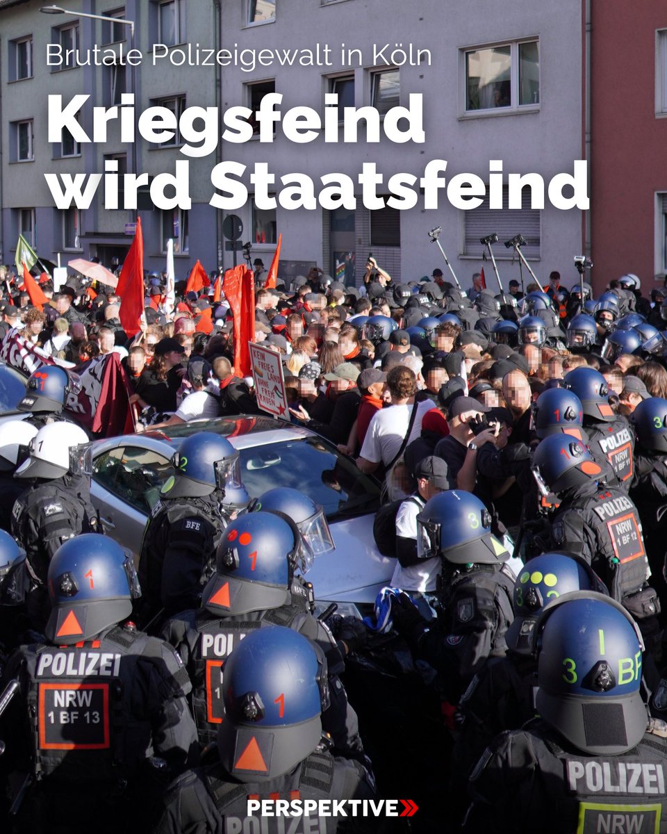 Perspektive Online tweet media