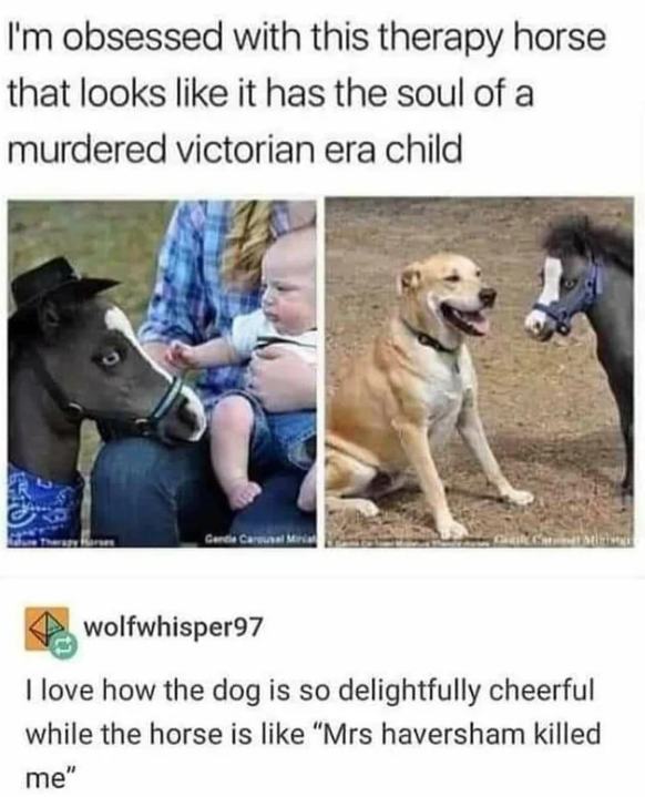 B3ardsoft Games tweet media