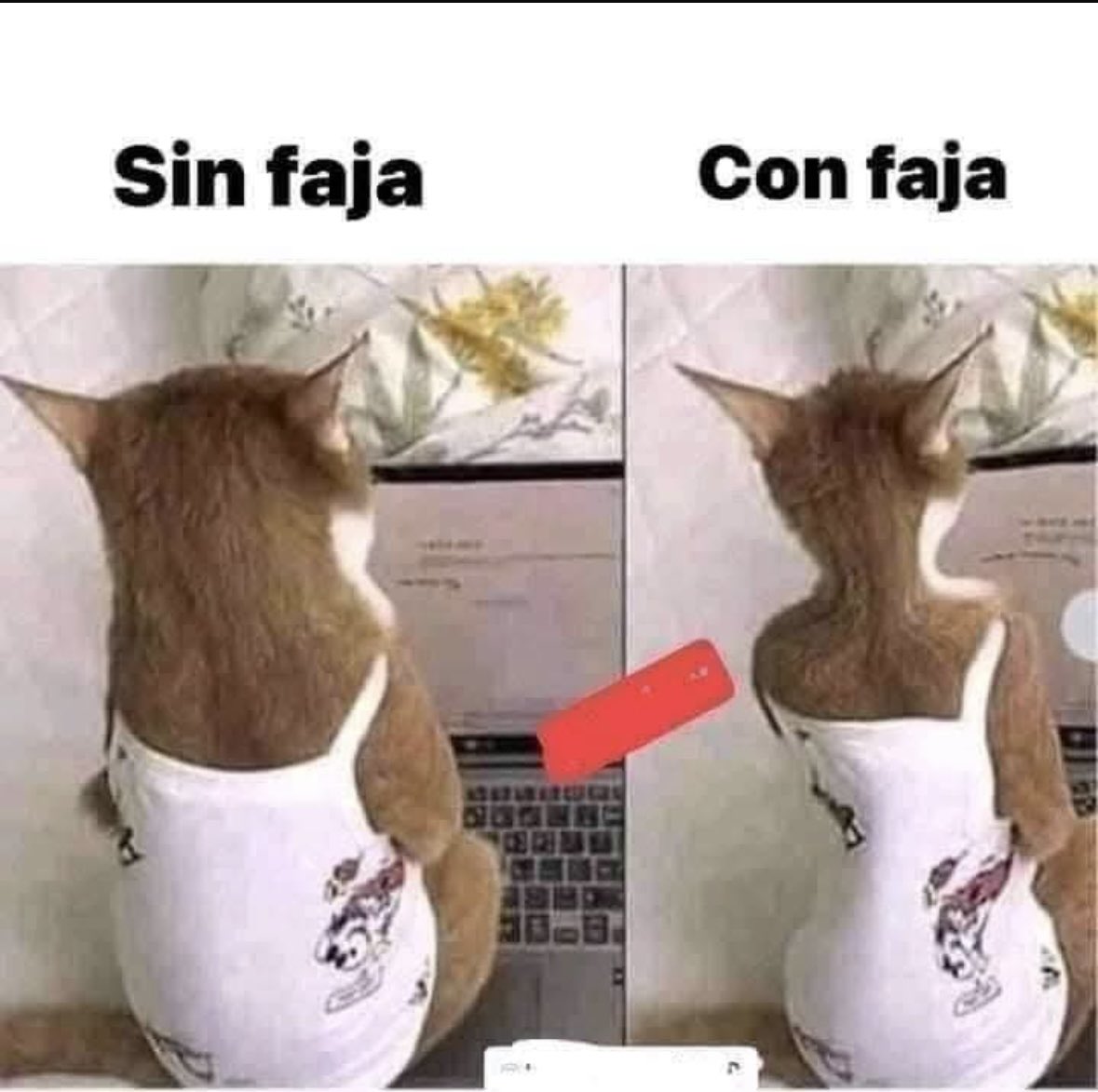 😂😂😂