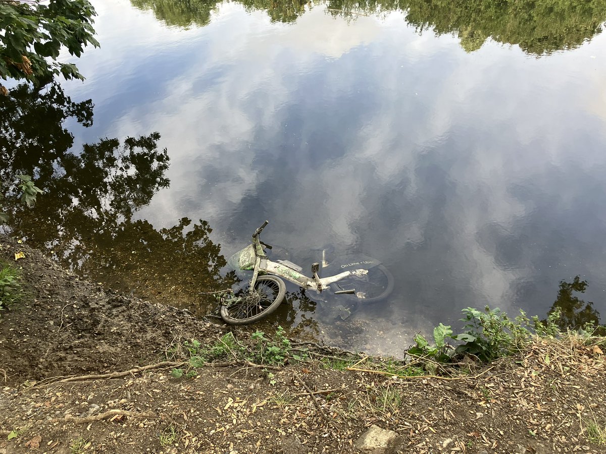 Wildlife Gardeners of Haggerston tweet media